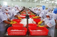 GÓP Ý DỰ THẢO BỘ LUẬT LAO ĐỘNG: Hãy để người lao động lựa chọn