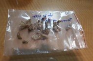 Nhập khẩu lúa mì gặp khó khăn vì quy định cỏ dại Cirsium Arvense