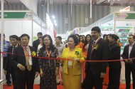 FFA: Doanh nghiệp Lương thực Thực phẩm ứng dụng thương mại điện tử