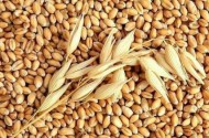 Đề nghị thu hồi văn bản 