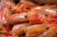 Chế biến sản phẩm từ đầu và vỏ tôm