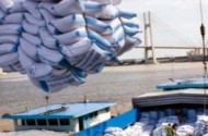 Từ 9/1, gạo Việt Nam vào Mexico bị áp thuế 20%